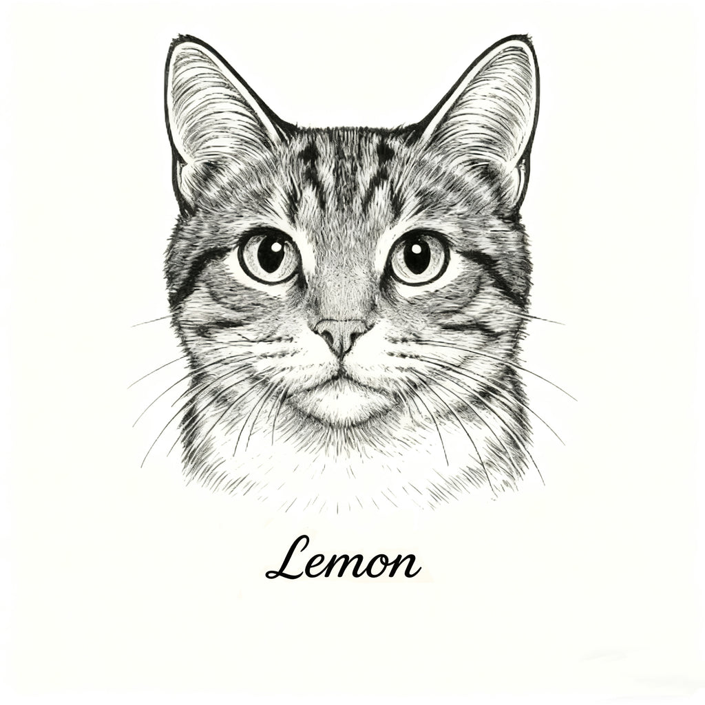 DIY Tattoos for your Pets families